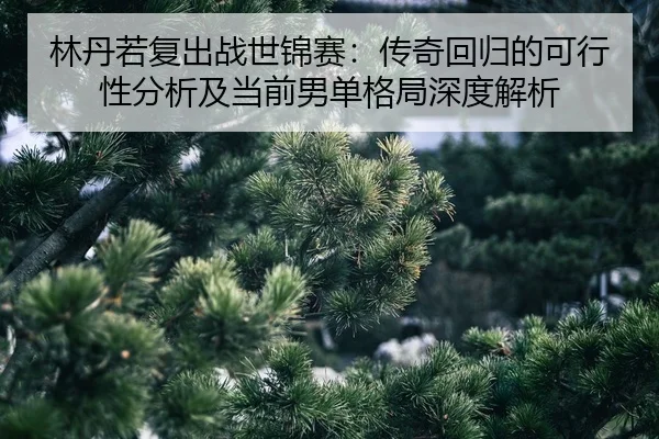 lin-dan-ruo-fu-chu-zhan-shi-jin-sai-chuan-qi-hui-gui-de-ke-xing-xing-fen-xi-ji-dang-qian-nan-dan-ge-ju-shen-du-jie-xi-2-817.jpg