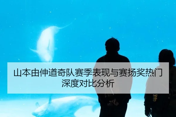 shan-ben-you-shen-dao-qi-dui-sai-ji-biao-xian-yu-sai-yang-jiang-re-men-shen-du-dui-bi-fen-xi-3-460.jpg