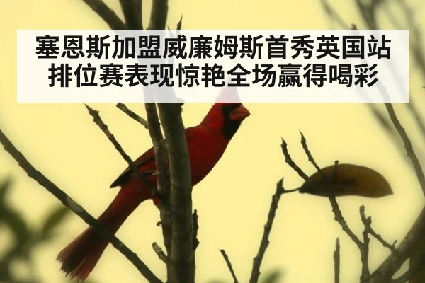 塞恩斯加盟威廉姆斯首秀英国站排位赛表现惊艳全场赢得喝彩