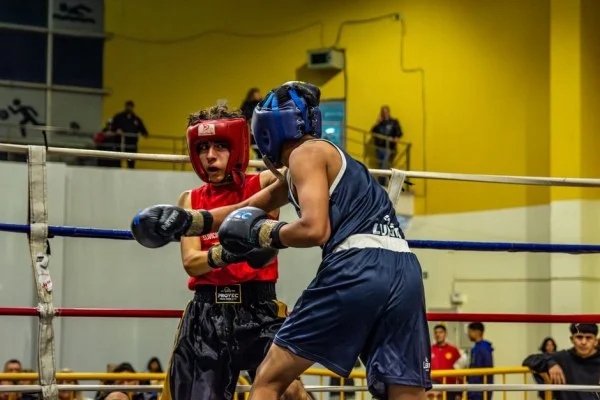 boxing match punch